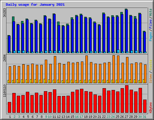 Daily usage for January 2021