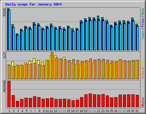 Daily usage for January 2024