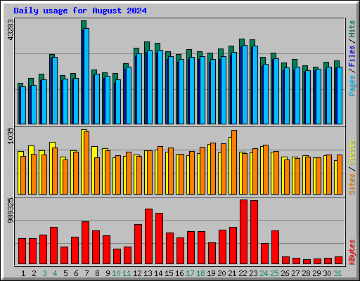 Daily usage for August 2024