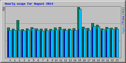 Hourly usage for August 2014