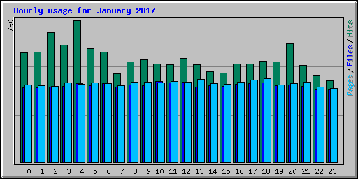 Hourly usage for January 2017