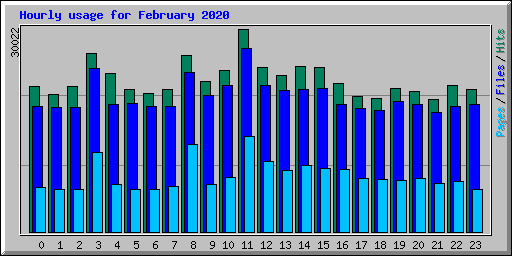 Hourly usage for February 2020