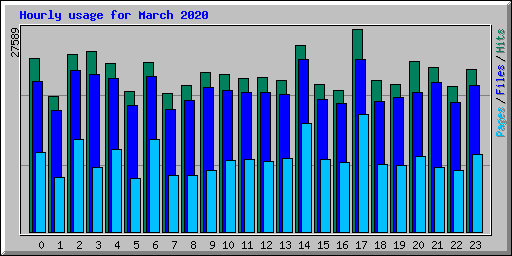 Hourly usage for March 2020