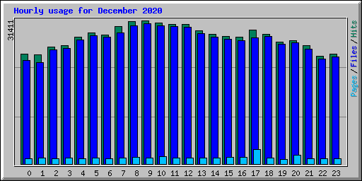 Hourly usage for December 2020