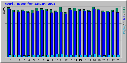 Hourly usage for January 2021