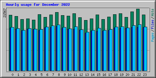 Hourly usage for December 2022