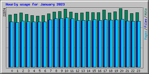 Hourly usage for January 2023