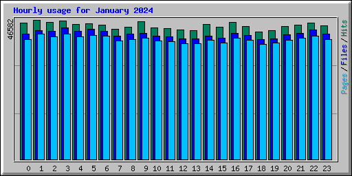 Hourly usage for January 2024