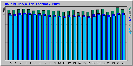 Hourly usage for February 2024