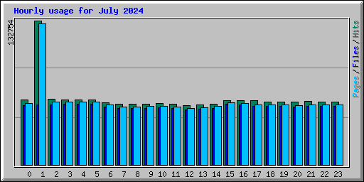 Hourly usage for July 2024