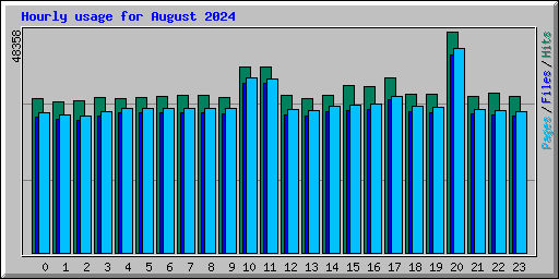 Hourly usage for August 2024