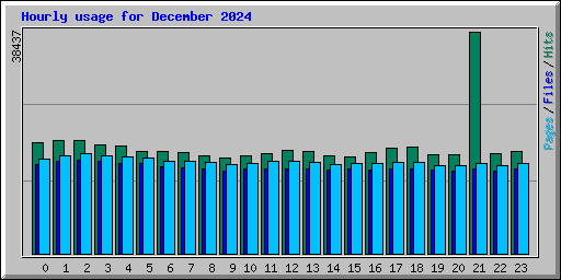 Hourly usage for December 2024