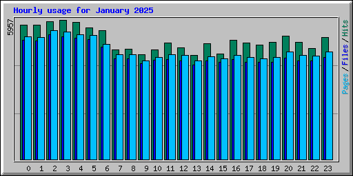 Hourly usage for January 2025