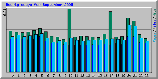 Hourly usage for September 2025