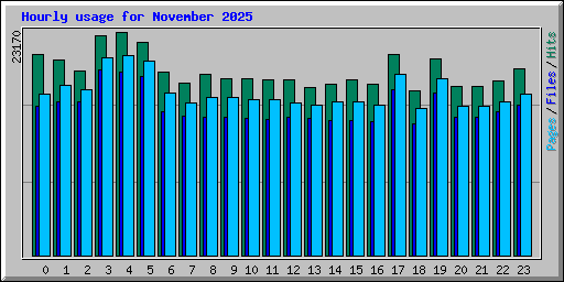 Hourly usage for November 2025